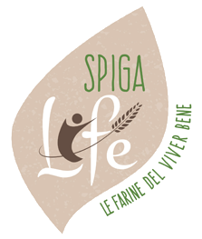 Spigalife